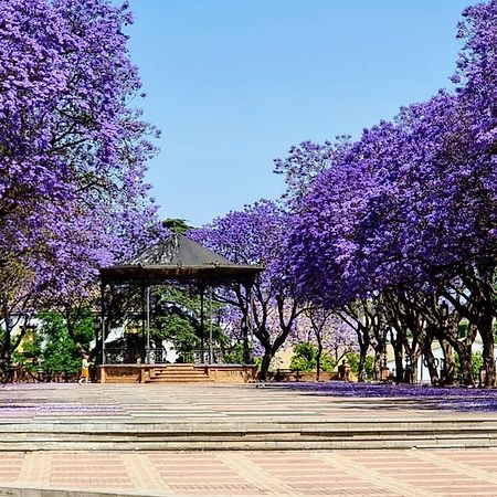 Alazan Jerez Iv-Parking Gratis-Wifi-Netflix Apartamento Jerez de la Frontera Exterior foto